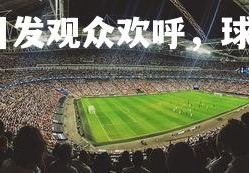 开云体育-精彩瞬间引发观众欢呼，球队战绩持续攀升，球场精彩瞬间